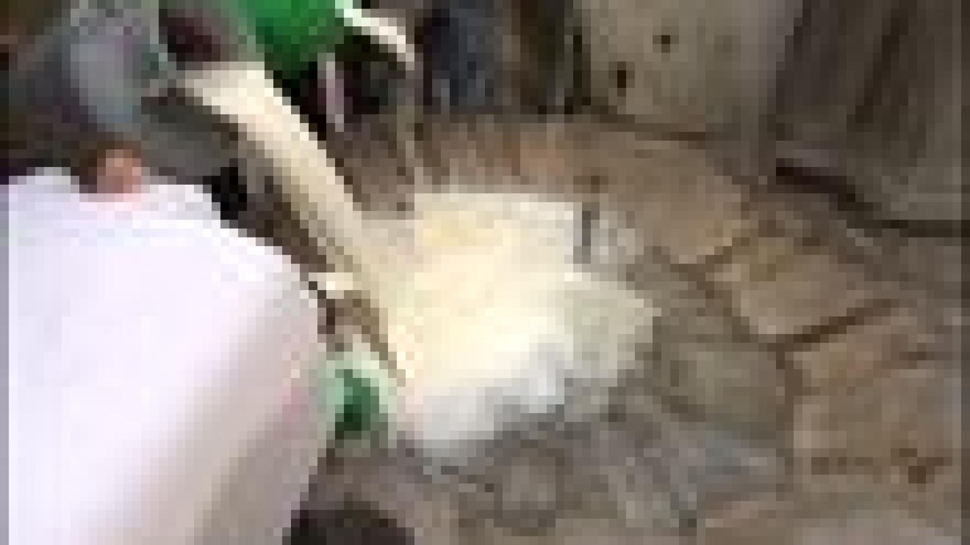 Producteurs laitiers: les manifestations continuent